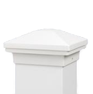 Dream White